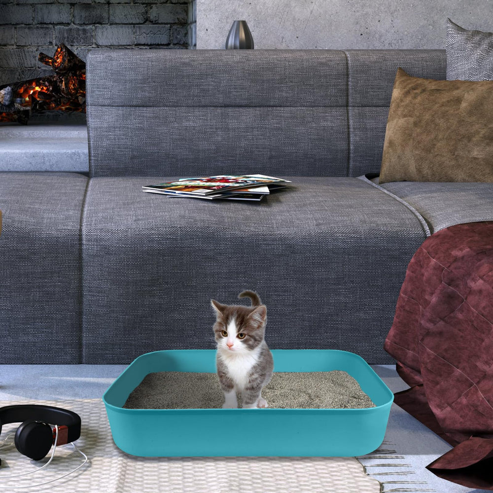 GCVOPTON small litter box blue open-top for kittens' play and rest.