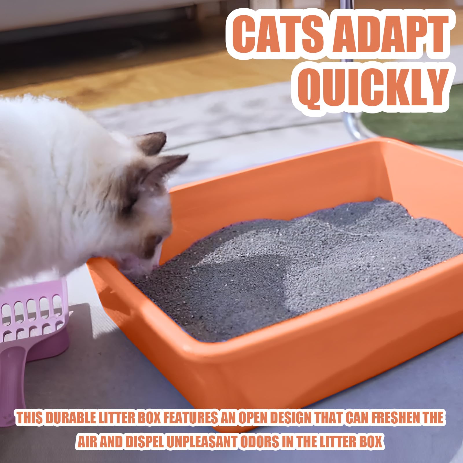 GCVOPTON small litter box indoors outdoors versatile use scenario.