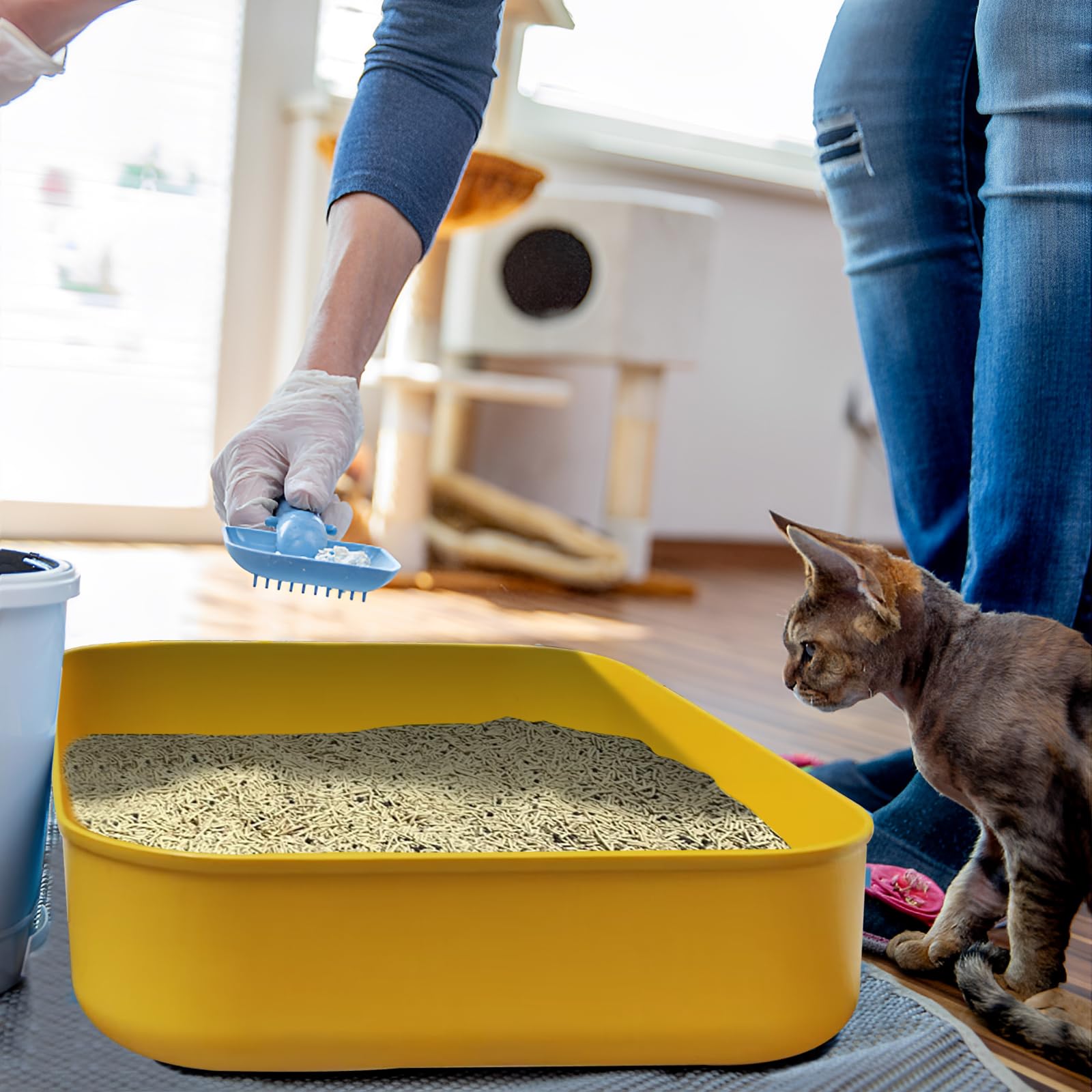 GCVOPTON small litter box smooth edges for pet safe handling.