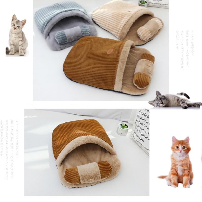 GDCARSL cat cave design secures calm curling