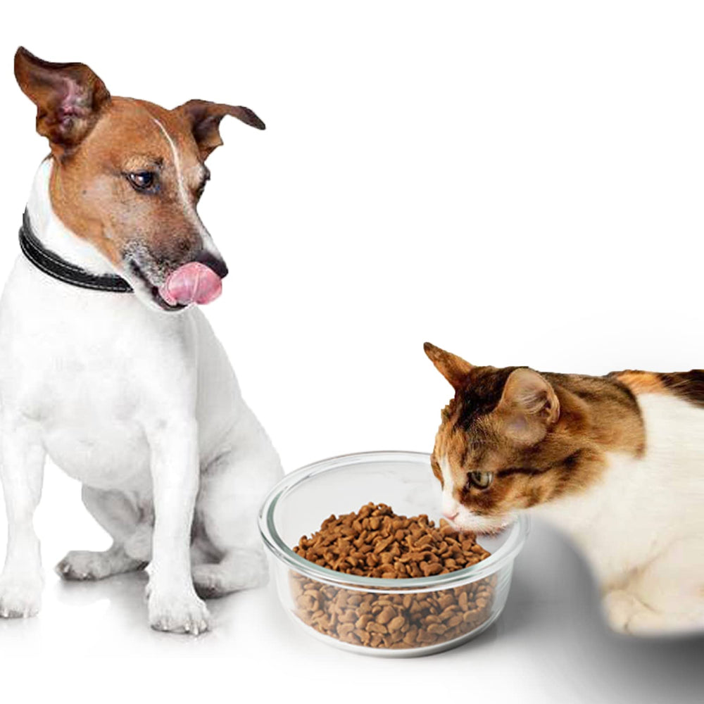 GDCZ Glass Cat Bowls 20oz transparent design helps portion visibility for pets.