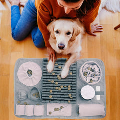 GDDGXXF snuffle mat indoor-outdoor use fits versatile play spaces