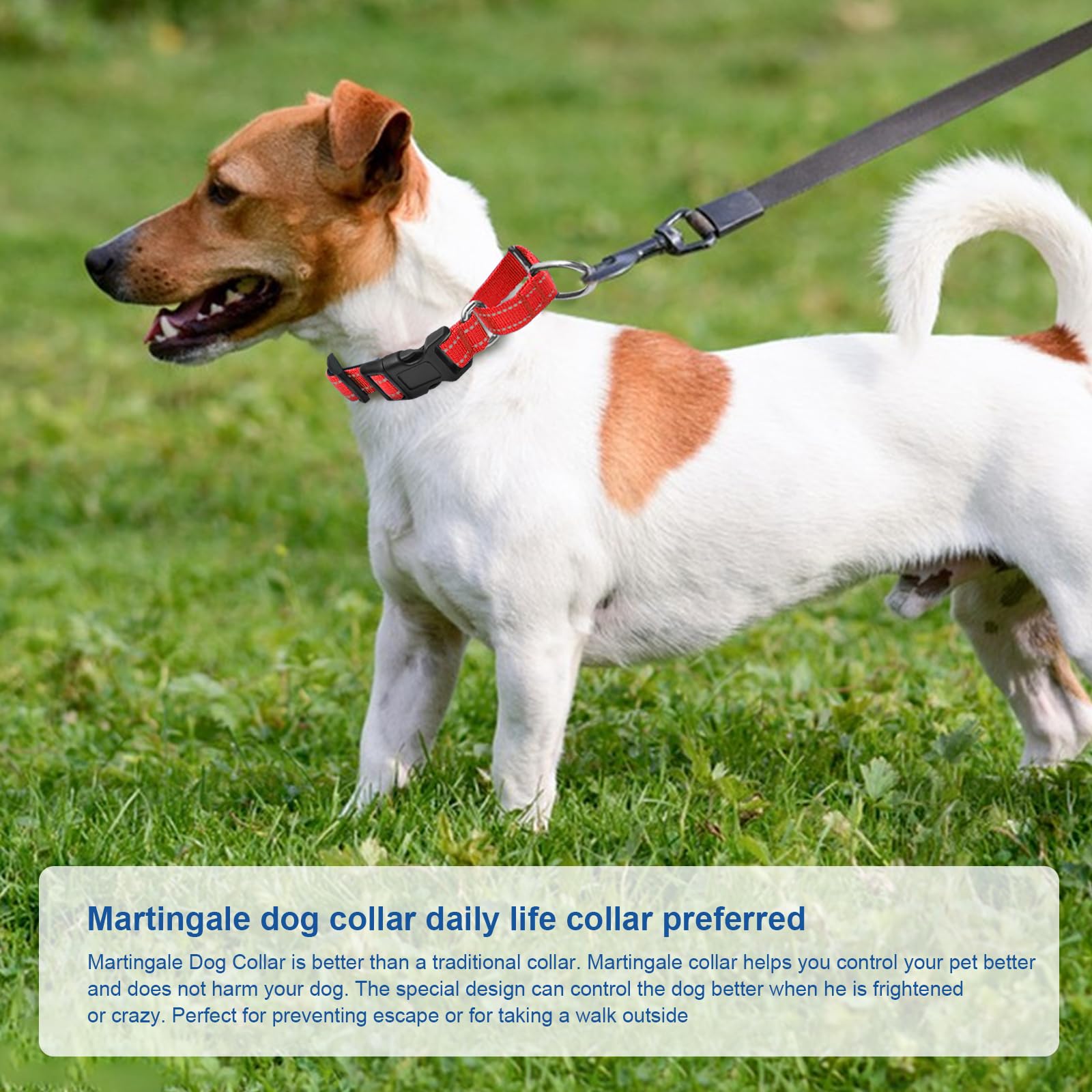 GDLKPS Reflective Martingale Collar measurement guide showing two-finger space.