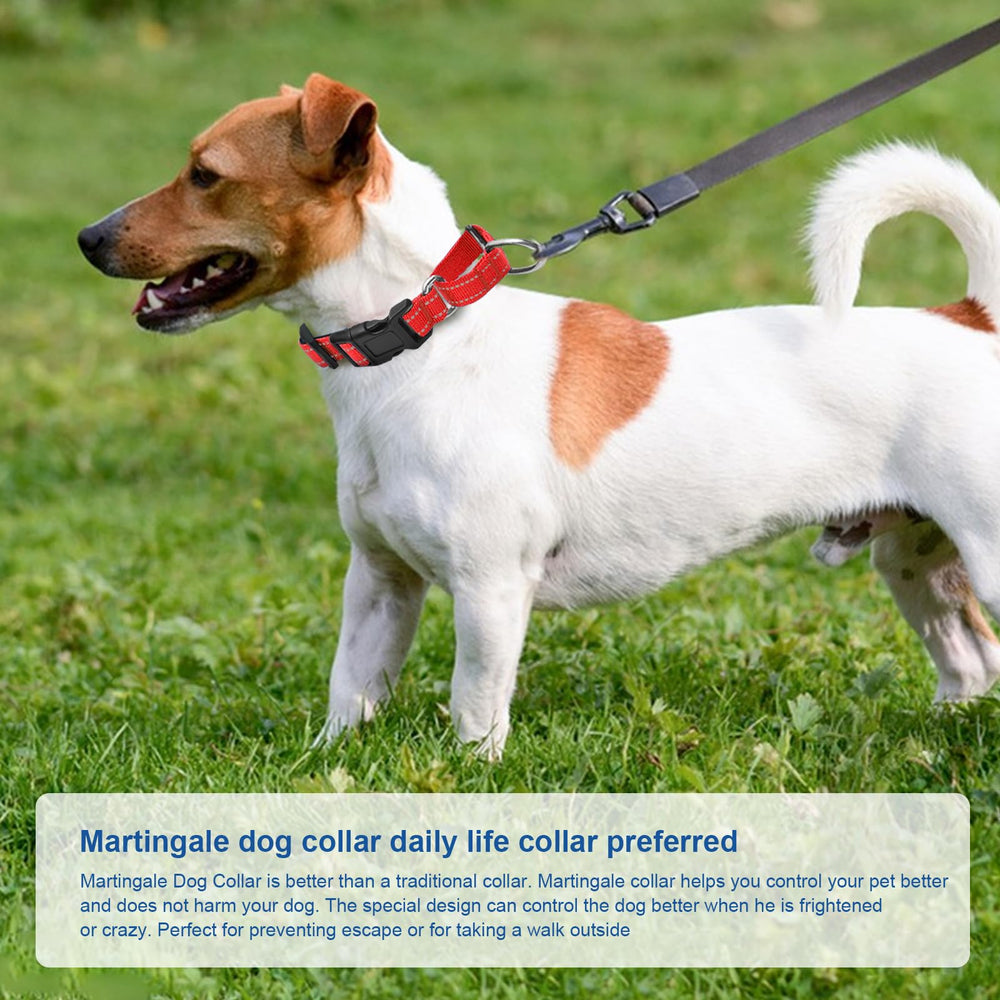 GDLKPS Reflective Martingale Collar measurement guide showing two-finger space.