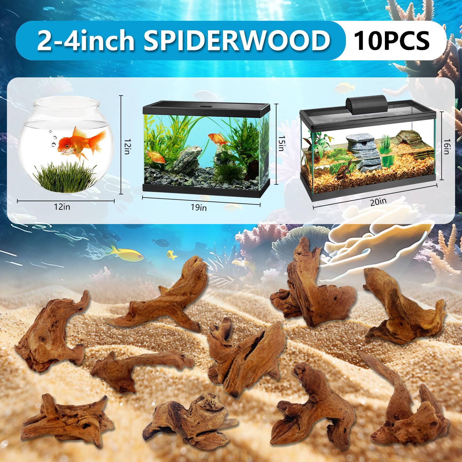 GDMYST Mopani wood assortment supports tank landscaping with varied shapes.