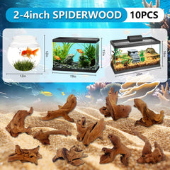 GDMYST Mopani wood assortment supports tank landscaping with varied shapes.