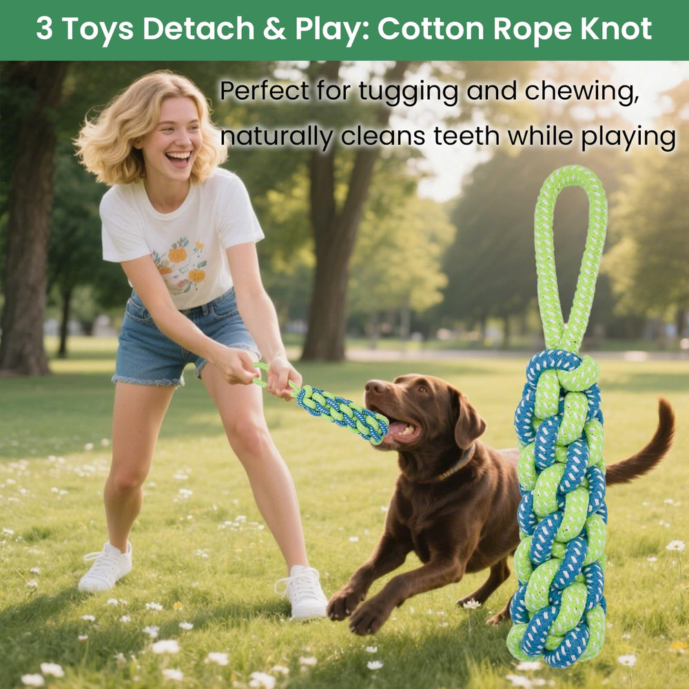 GDuolaPaws over-door hang setup for quick indoor-outdoor toggling