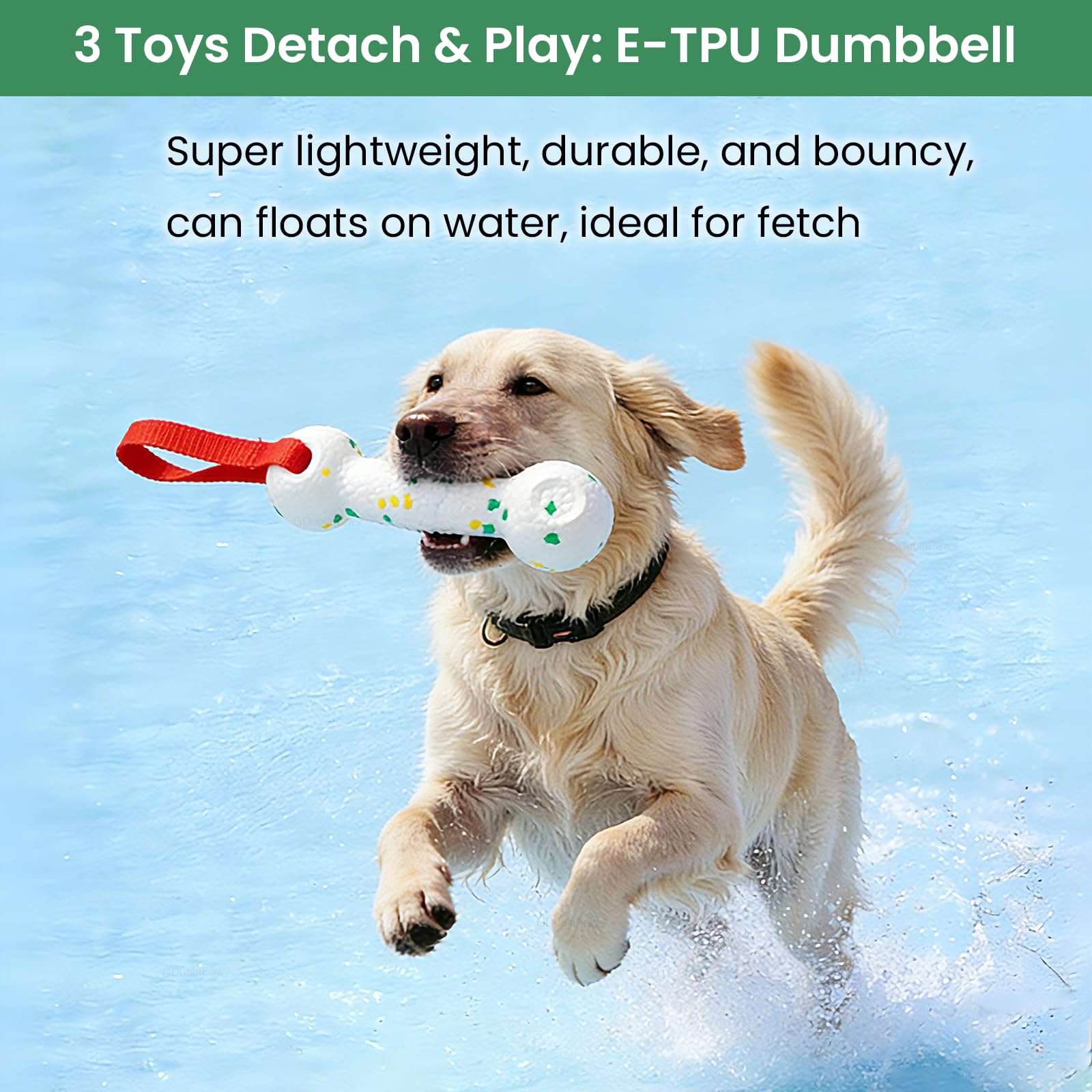 GDuolaPaws tree tug toy setup for backyard play