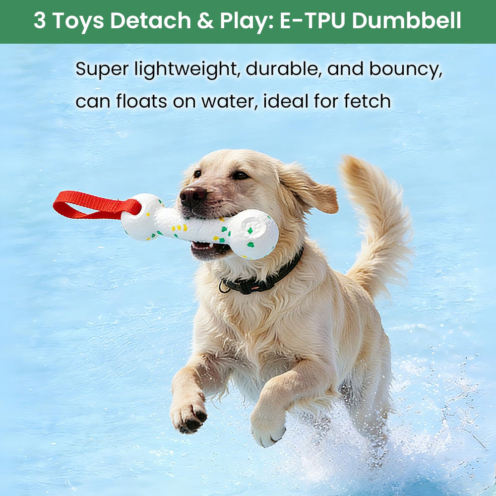 GDuolaPaws tree tug toy setup for backyard play