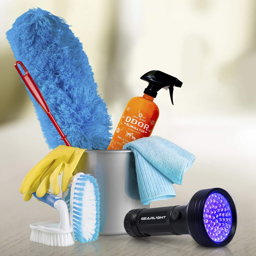 GearLight XR68 bed-bug-search detects bed bugs in mattresses and furniture.