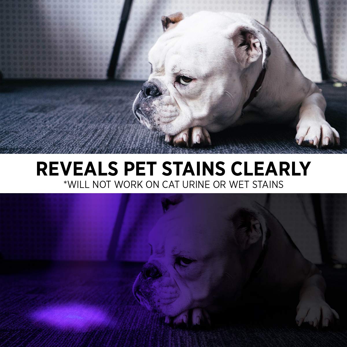 GearLight XR68 compact-carry emphasizes portable UV light for on-the-go detection.