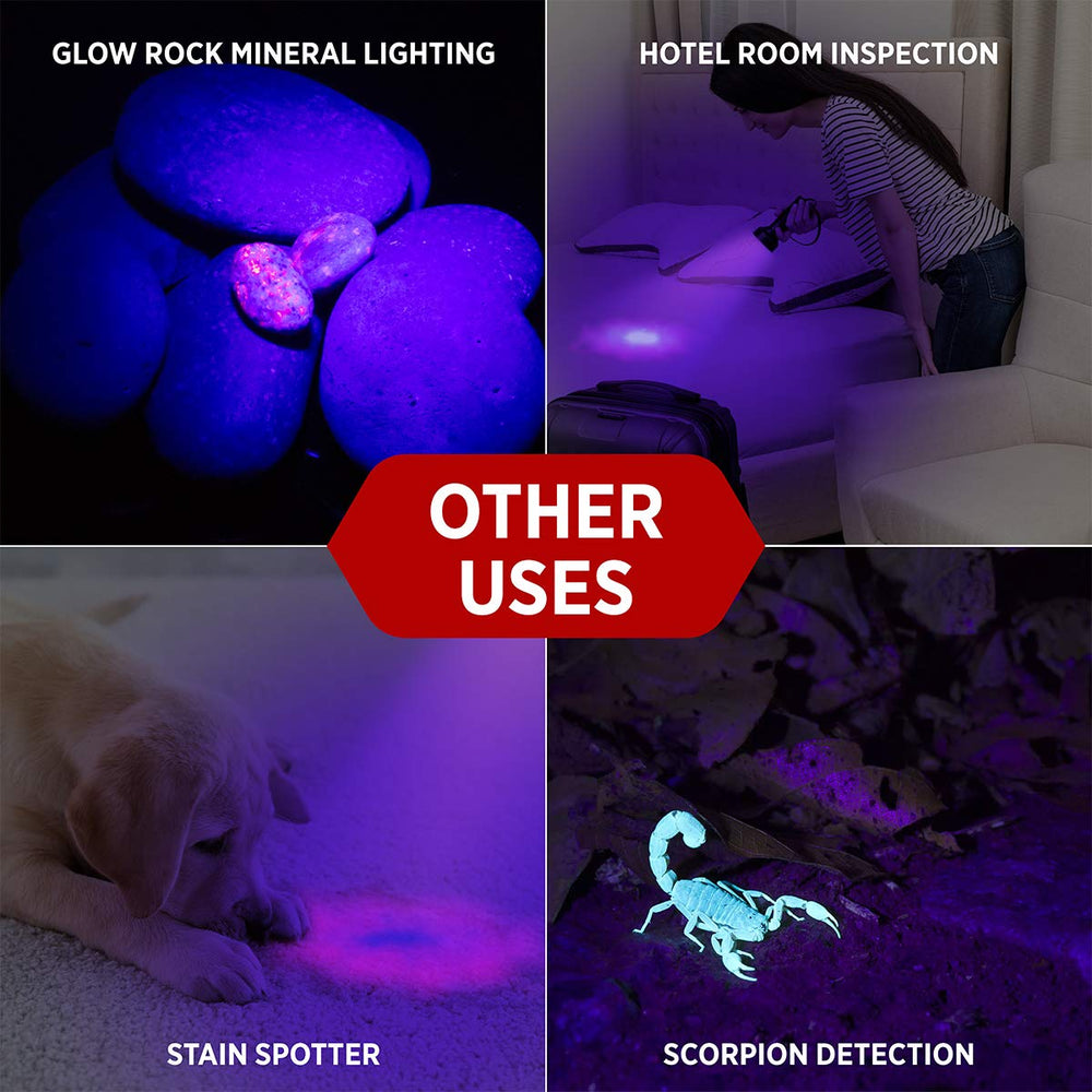 GearLight XR68 id-checking shows UV markers aiding quick verification.