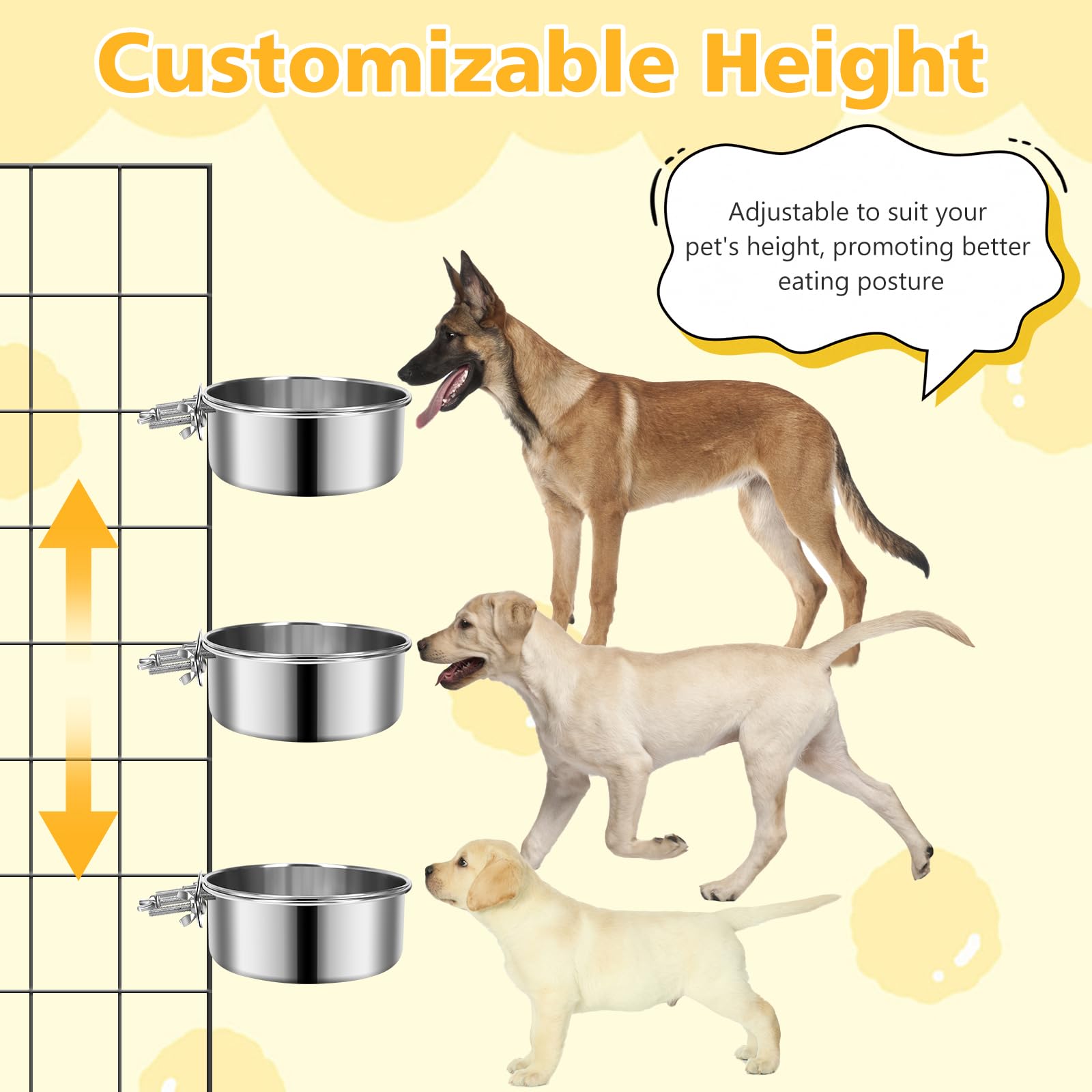GearRoot dual-sized stainless bowls for hydration and nutrition in one set.