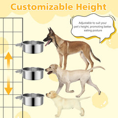 GearRoot dual-sized stainless bowls for hydration and nutrition in one set.