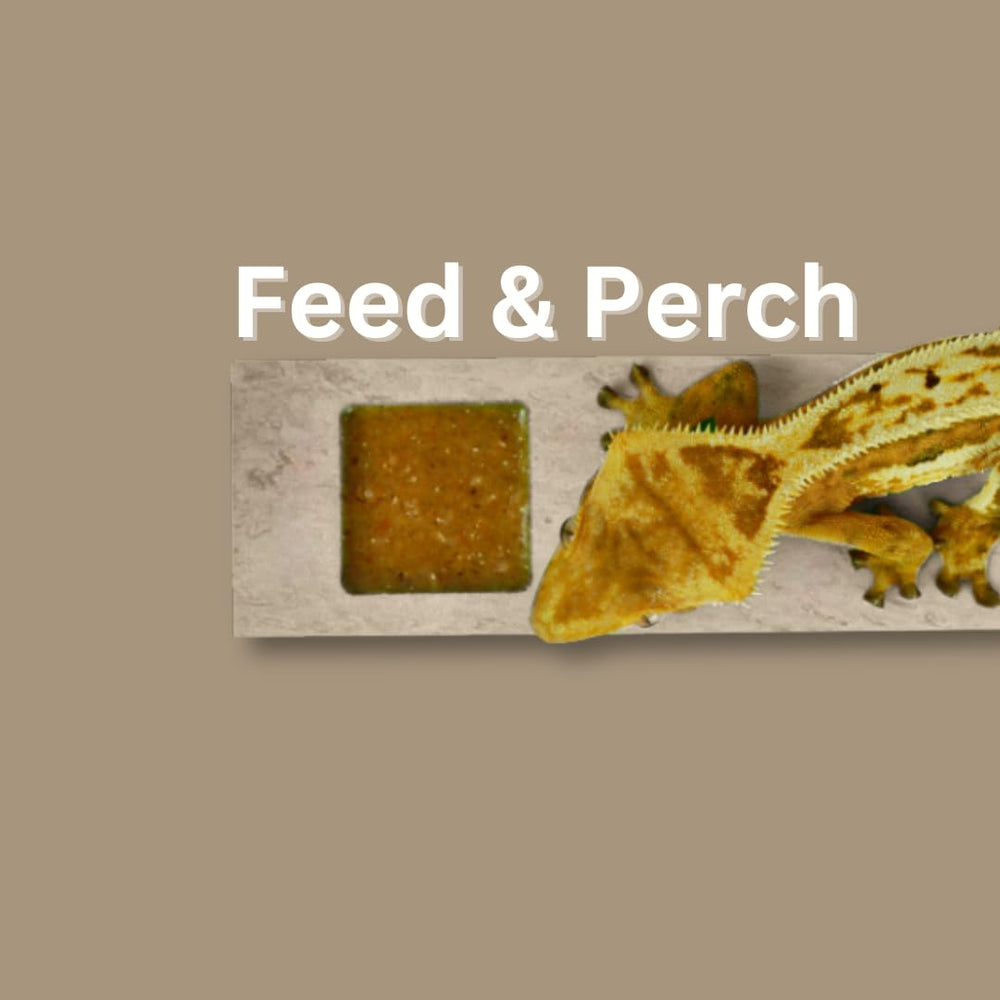 GECKOPIA Reptile Flex Bridge Large captures secure, lightweight construction for safe layouts