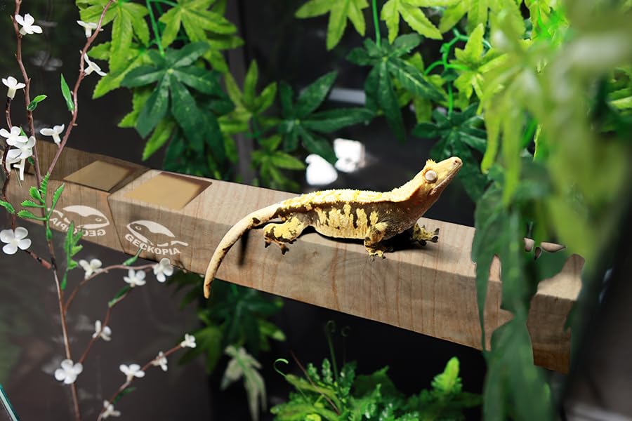 GECKOPIA Reptile Flex Bridge Large integrates naturally with wood aesthetics and enrichment
