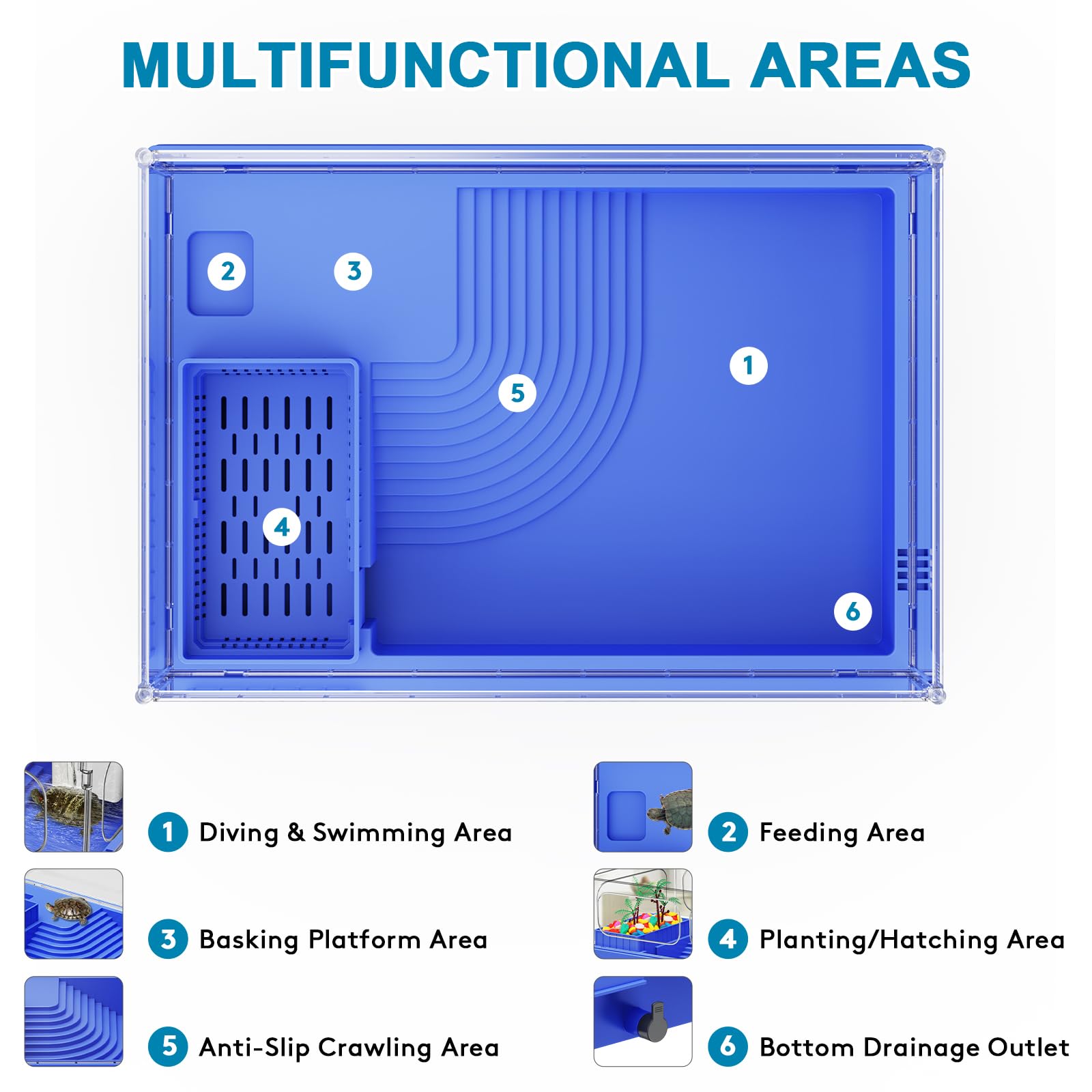Geegoods Turtle Tank blue multifunction area shows swimming, climbing, feeding zones
