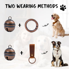 Geehouz dog collar bells on a collar demonstrating easy one-step attachment for tracking.