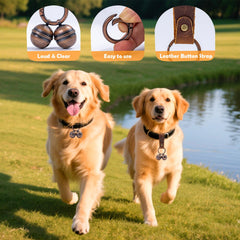 Geehouz leather straps and rings for secure, adjustable collar setup.