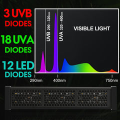 GeeKoit 4/8/12h timer close-up demonstrates reliable daily schedule for basking