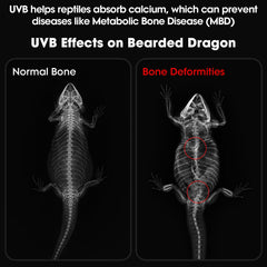 GeeKoit UVB UVA LED modes display; timer options and versatile reptile lighting