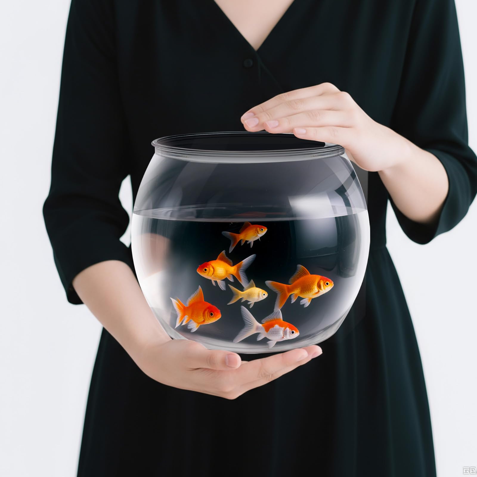 Geelin 1-gallon fish bowl top view offers crystal clarity for panoramic aquatic viewing.