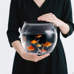 Geelin 1-gallon fish bowl top view offers crystal clarity for panoramic aquatic viewing.