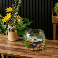 Geelin fish bowl terrarium setup demonstrates versatile use as plant or terrarium centerpiece.