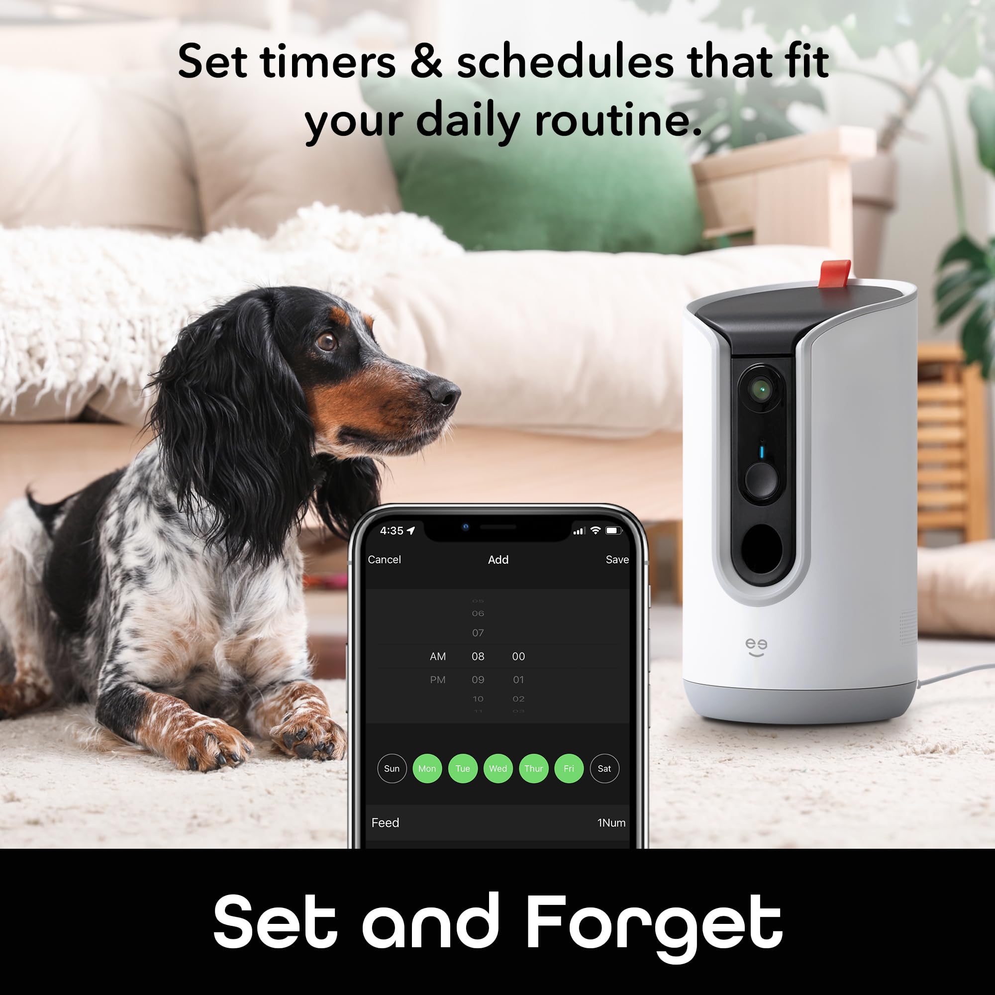 Geeni 2K camera view delivers crisp visuals for quick pet checks.