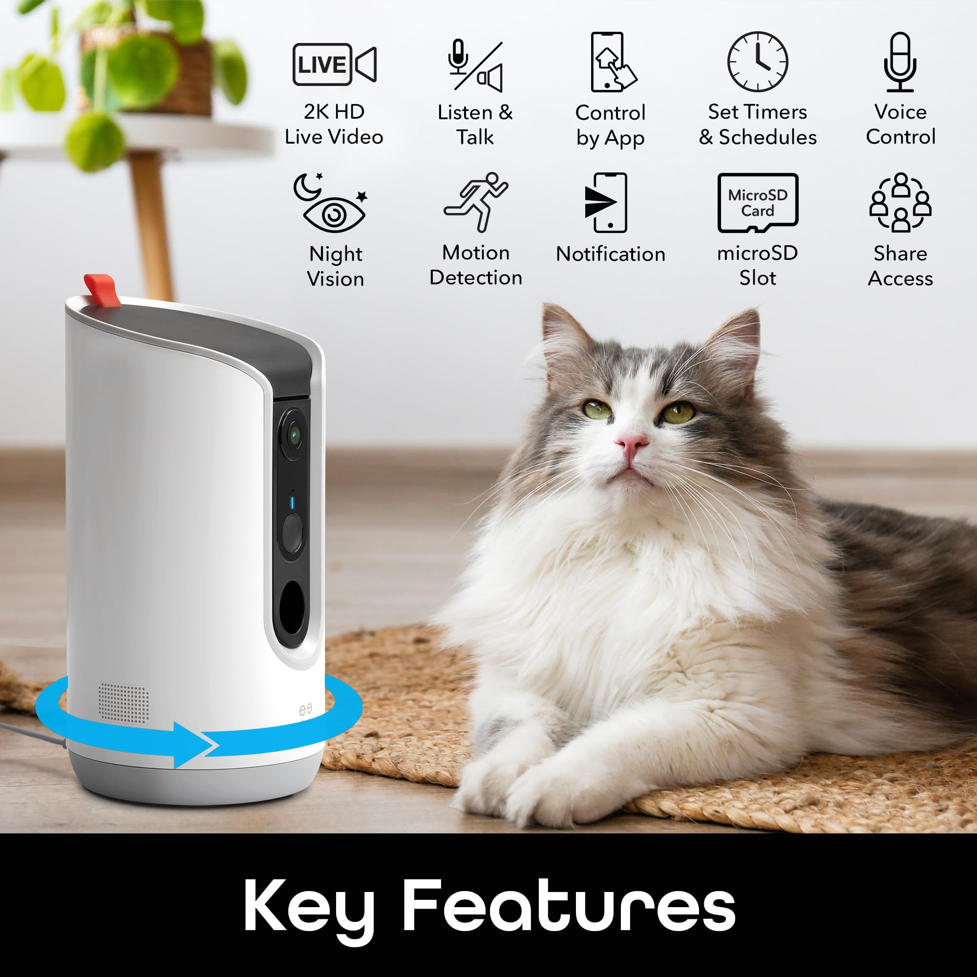 Geeni Treat Dispenser feeding chute and port for smooth snack sessions.