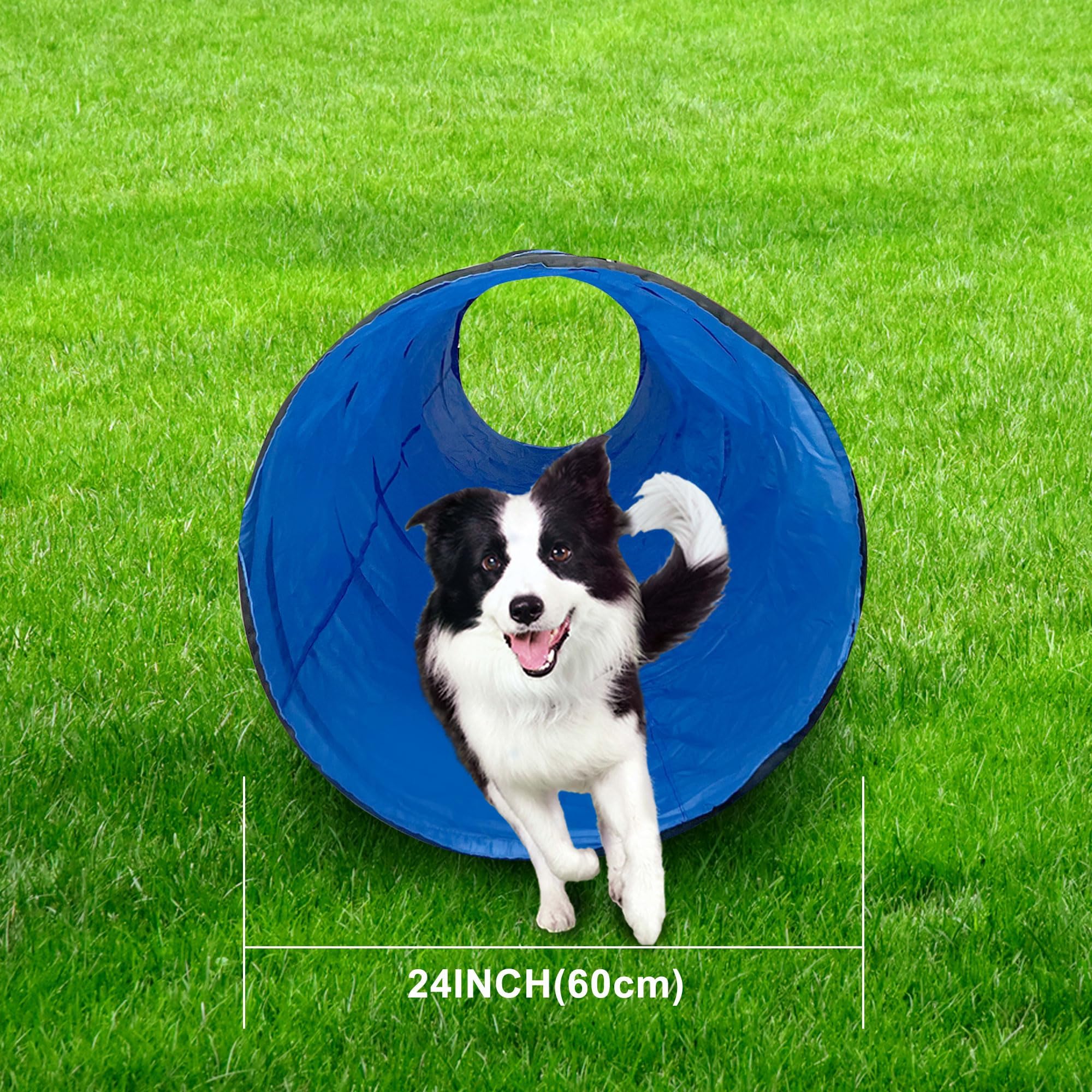 GeerDuo dog agility tunnel blue compact storage for travel.
