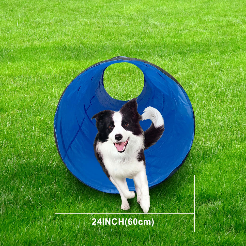 GeerDuo dog agility tunnel blue compact storage for travel.