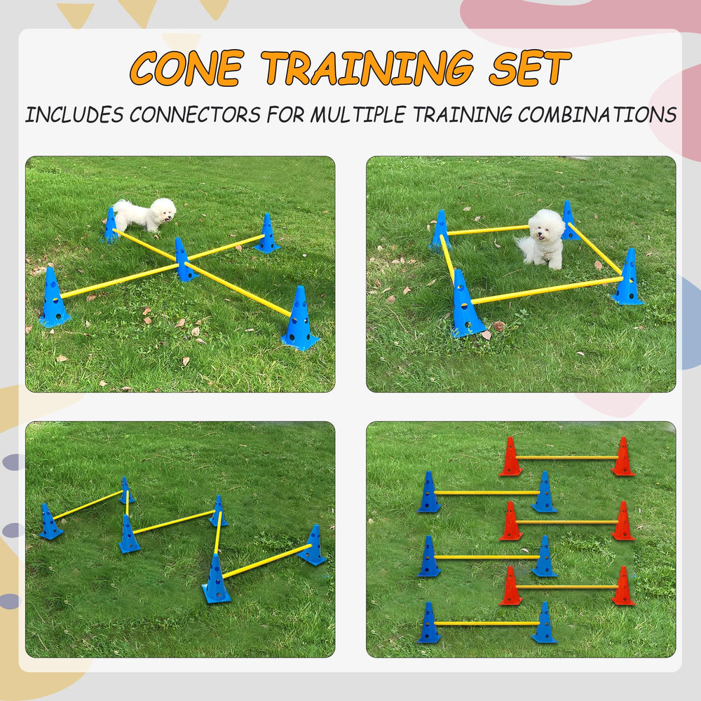 GeerDuo yellow and blue poles attract attention during obedience practice