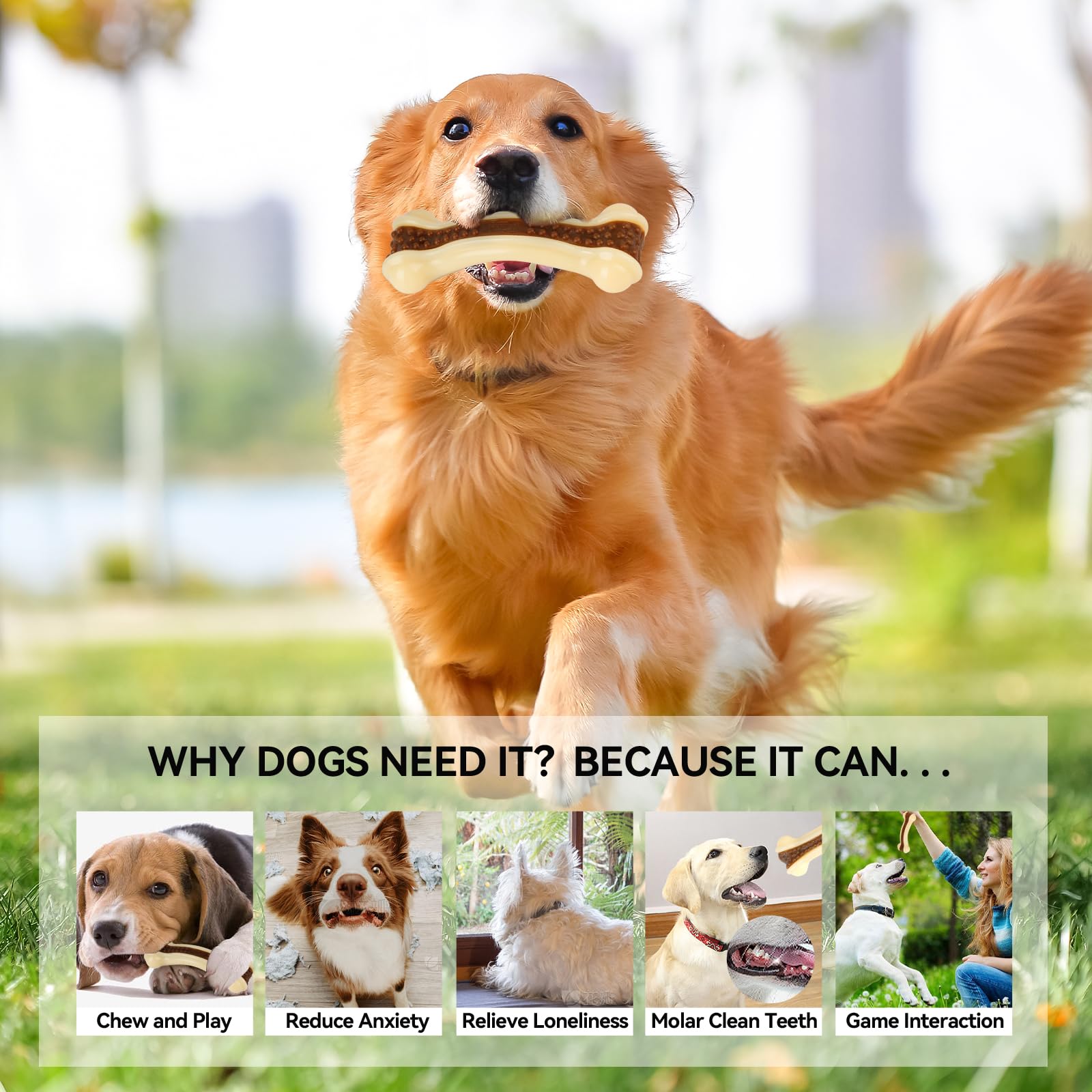 Geeyteek beef-flavor play time showcasing interactive chewing and bonding.