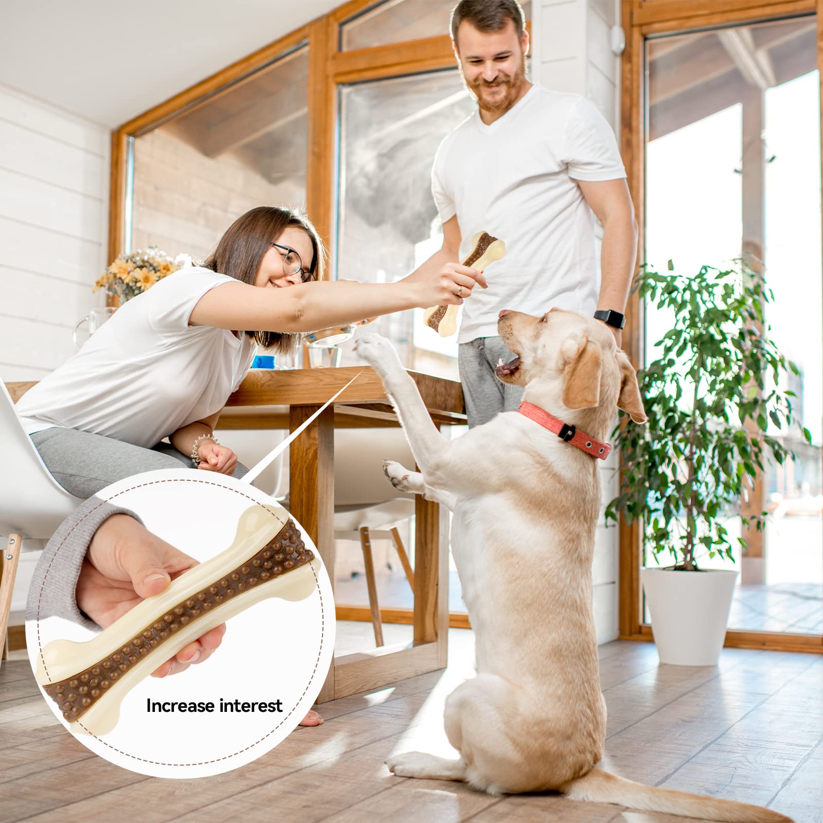 Geeyteek two-pack packaging highlighting value for multi-dog homes.