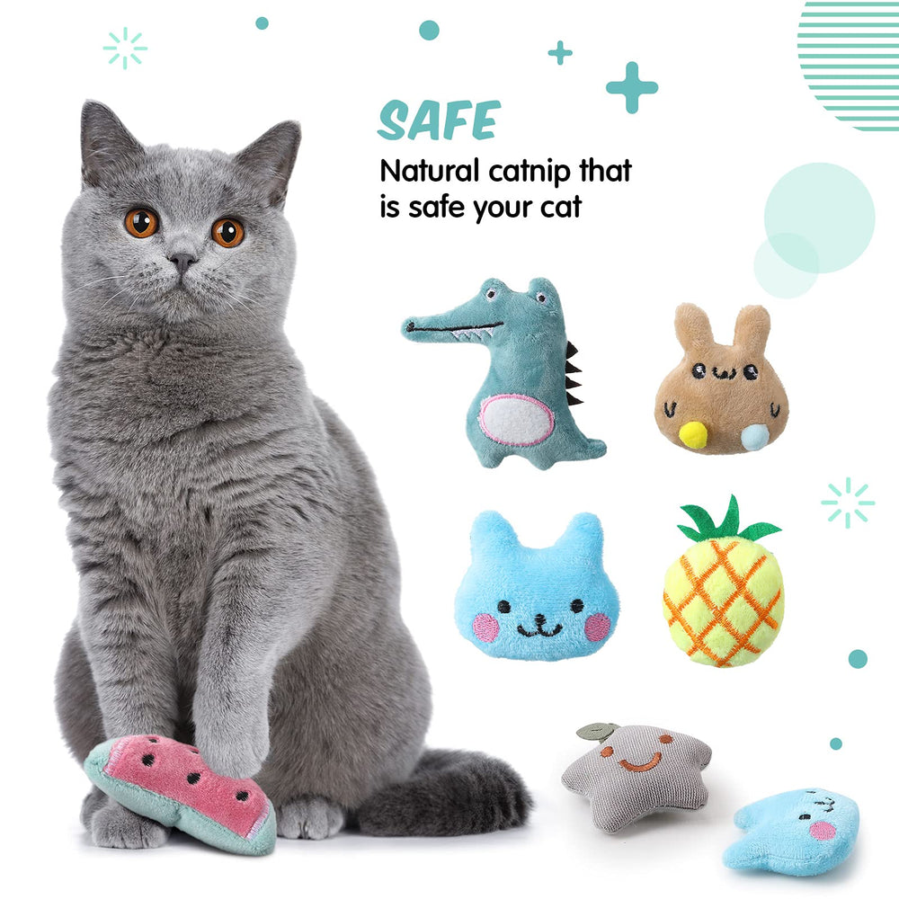 Gejoy color variety catnip toys for indoor variety and exploration.