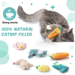 Gejoy catnip chew toy with dental friction use for healthy teeth.