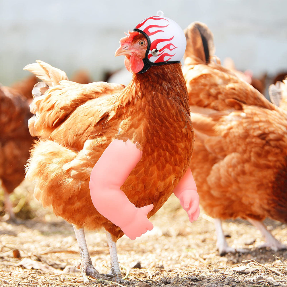 Gejoy adjustable-arm design adapts to various chicken sizes safely
