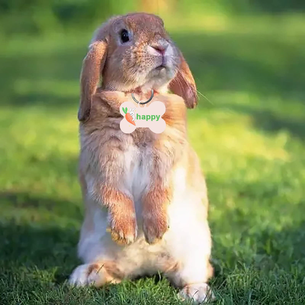 GEKIXUTP customizable pet ID tags ideal for personalized gifts.