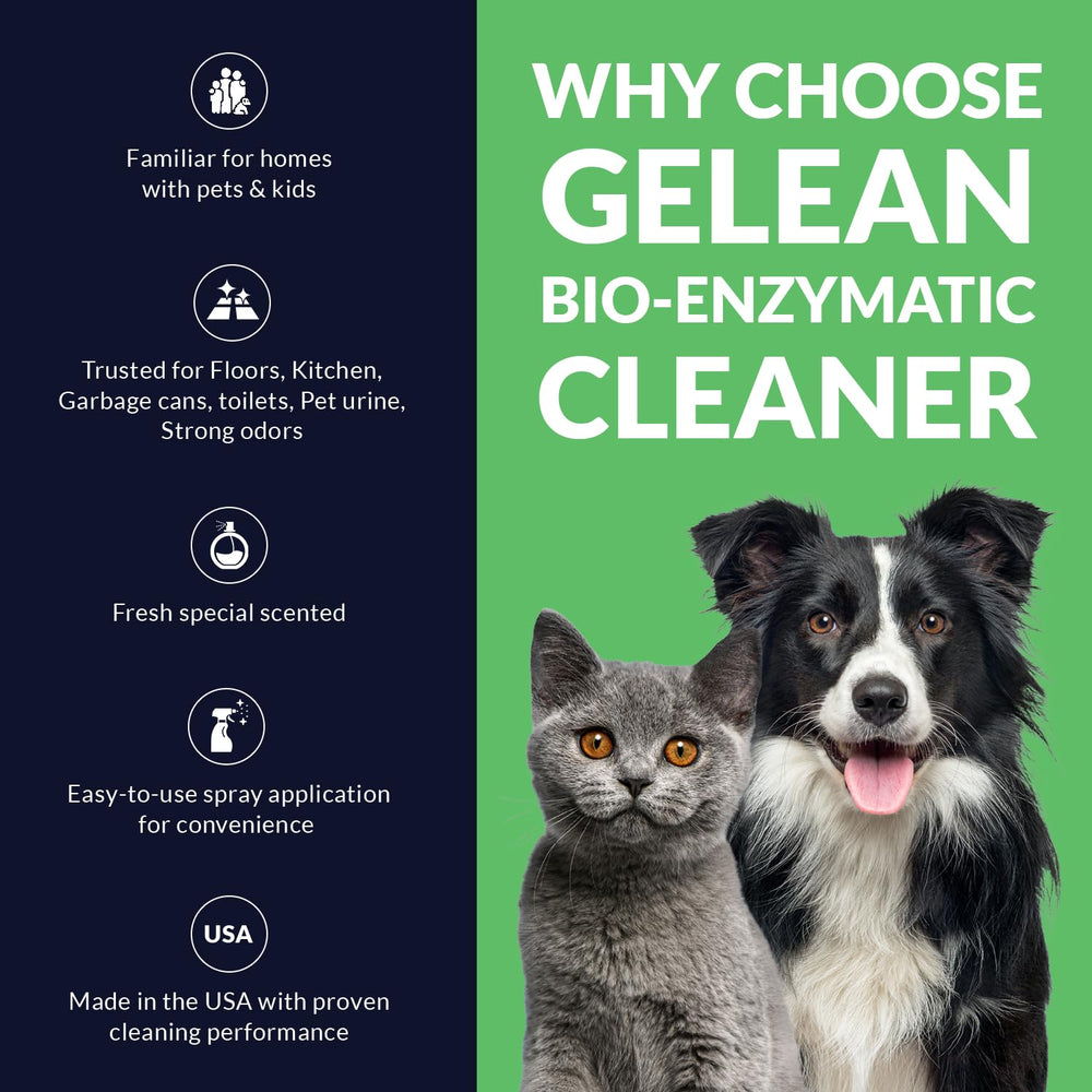 GELEAN enzymatic-urine-destroyer application on carpet for odor removal