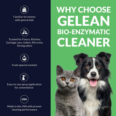 GELEAN enzymatic-urine-destroyer application on carpet for odor removal