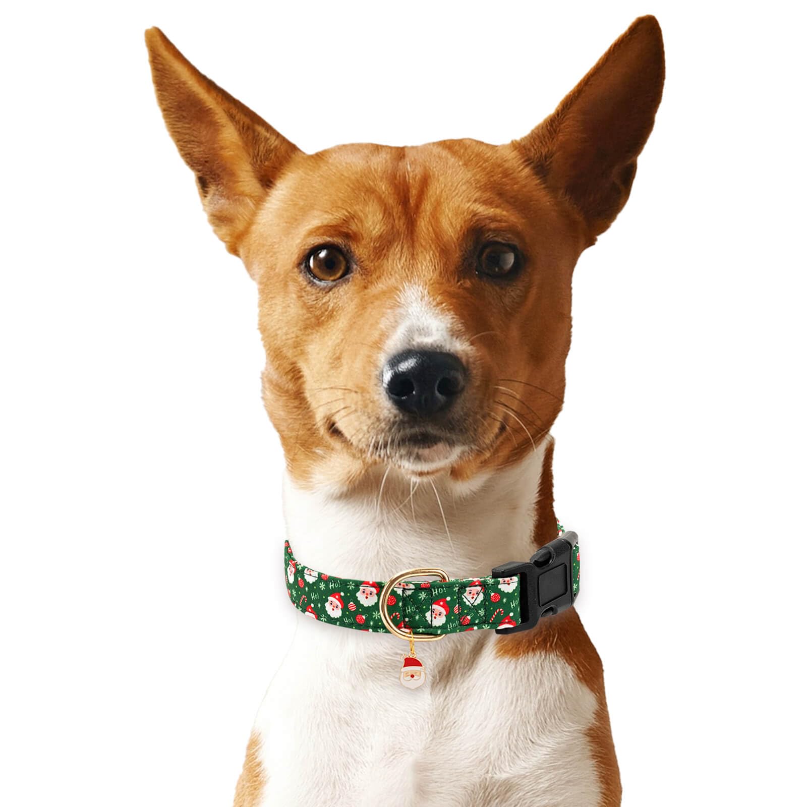 Gelwoo festive green design supports easy photos and holiday-themed outings