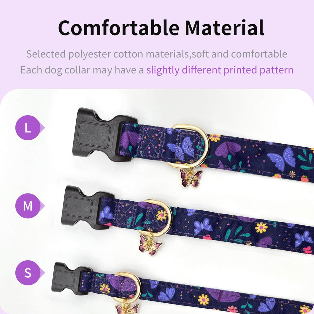 Gelwoo dog wearing collar during travel or walk emphasizes versatility.