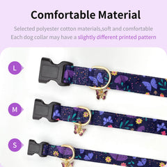 Gelwoo dog wearing collar during travel or walk emphasizes versatility.
