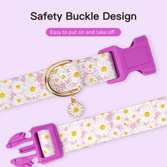 Gelwoo soft-material collar closeup, skin-friendly and lightweight for everyday adventures