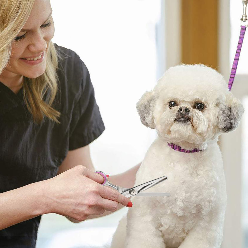 GEMEK pet grooming kit ready for home use on dogs and cats.