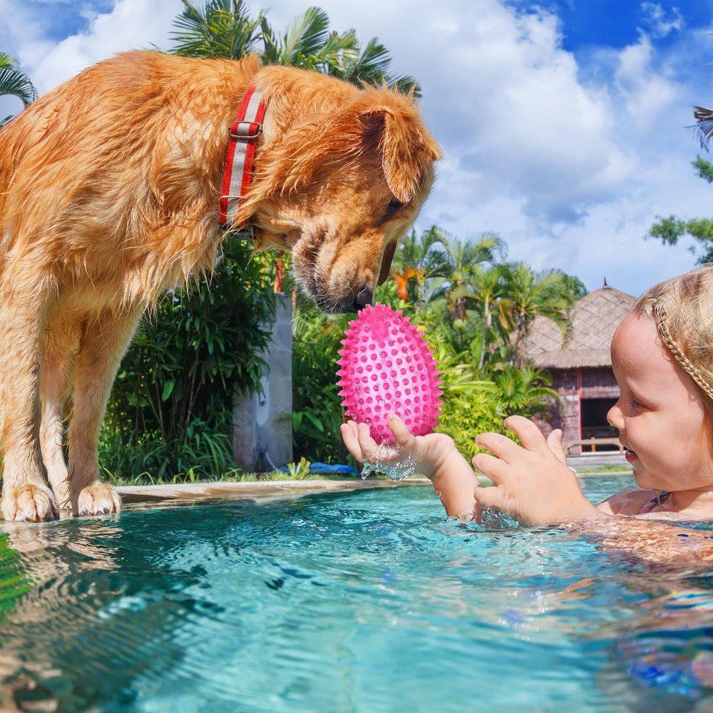 Gemscream durable chewer ball toy ideal for training and chewing sessions.