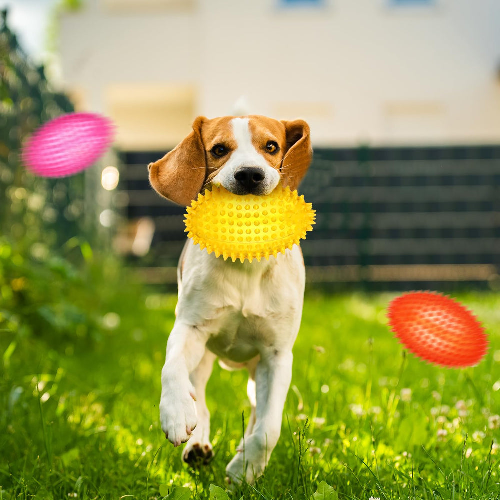Gemscream heavy-duty rubber dog toy designed for aggressive chewers.