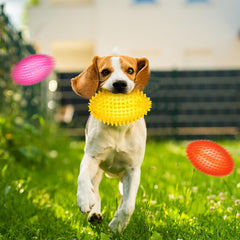 Gemscream heavy-duty rubber dog toy designed for aggressive chewers.