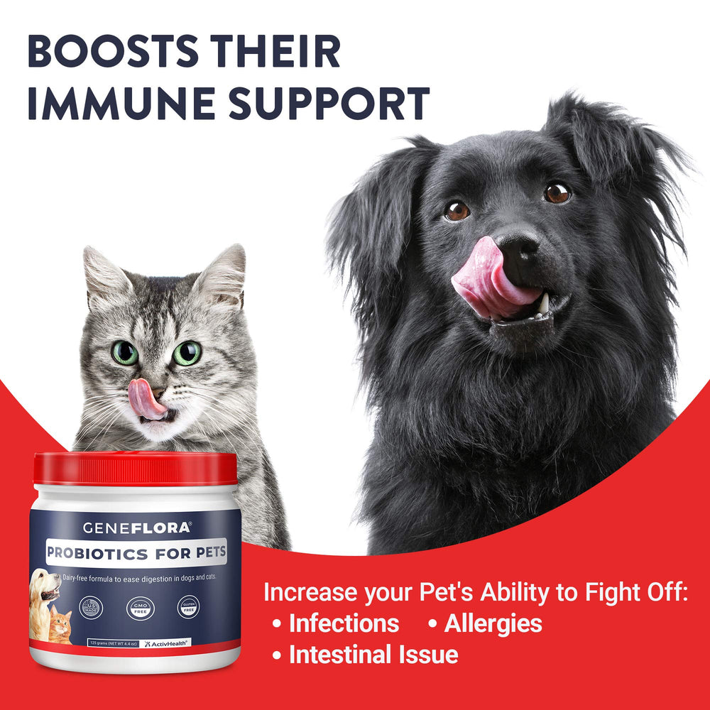 Geneflora digestive health powder for pets supports overall digestion.